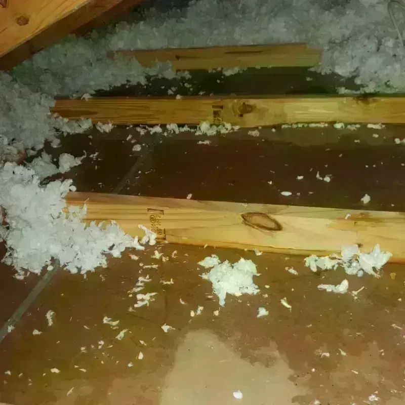 Attic Water Damage in Winsted, CT